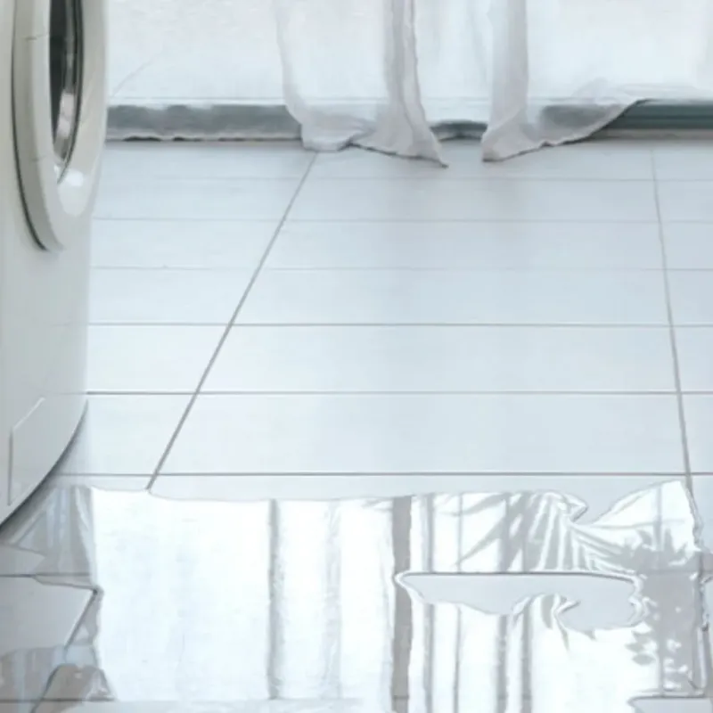 Appliance Leak Cleanup in Gifford, FL