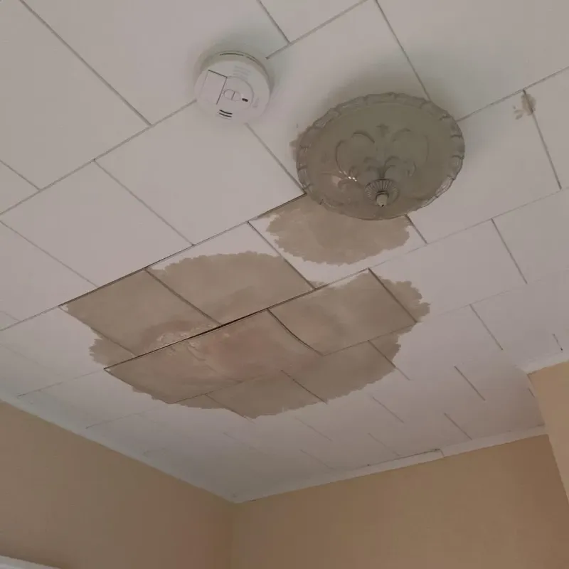 Ceiling Water Damage Repair in Gifford, FL
